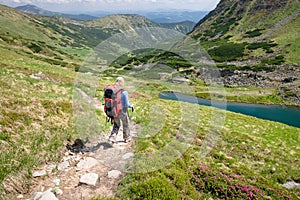 Woman hiking with sticks in Carpathian mountains