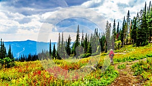 Woman hiking on Tod Mountain near the village of Sun Peaks in BC Canada