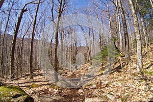 Woman hiking on a trail