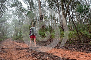 Woman hiking on a trail in the Blue Mountains