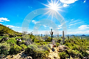 Woman hiking under bright sun through the semi desert landscape of Usery Mountain Regional Park