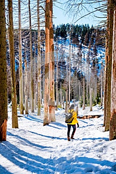 Woman hiking in winter landscape Harz national park Germany, Steam train winter landscape, Famous steam train throught