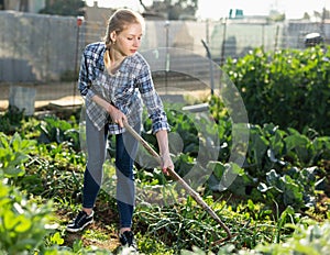 Woman hoeing in garden