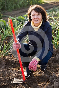 Woman hoeing in garden