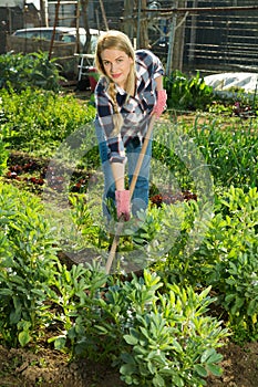 Woman hoeing in garden