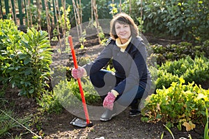 Woman hoeing in garden