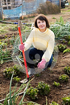 Woman hoeing in garden