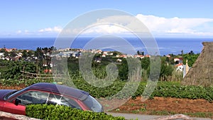 Woman hoeing garden soil in Madeira