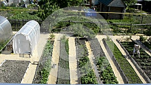 A woman is hoeing potato bushes in the garden. The view from the top. Greenhouses and vegetable beds are arranged in rows in the