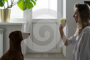Woman hold ball playing with dog. Happy female relax communicating caring of pet at home after work