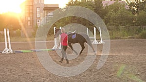 Woman hold horse on leash while running in circle.