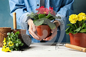 Woman hold pot, white wooden table with flowers and gardening tools