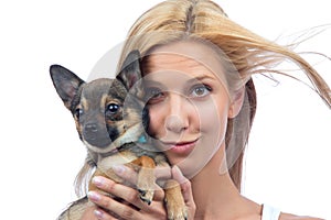 Woman hold small Chihuahua puppy dog