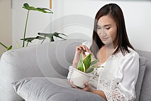 Woman holding air purifier tree in white pot. photo