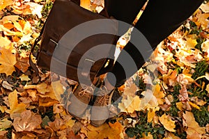 Woman holding bag in park with fallen leaves. Autumn season