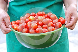 Woman holding a basin with cherry tomatoes