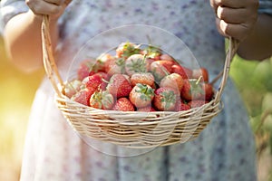 Woman holding basket with strawberry