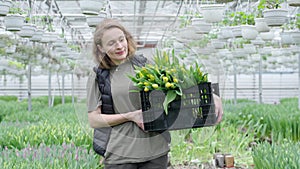 Woman holding basket of tulips in greenhouse