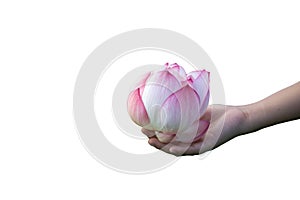 A woman holding a beautiful lotus flower isolated on white background with Clipping Paths