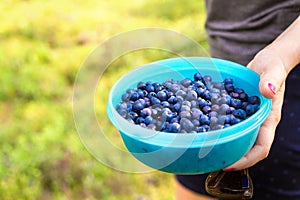 Woman holding blueberries in a casket and container in forest.