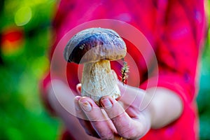 Woman holding boletus edulis mushroom in her hand