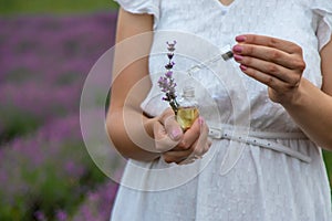 Woman holding bottle with natural essential oil in lavender field. Selective focus