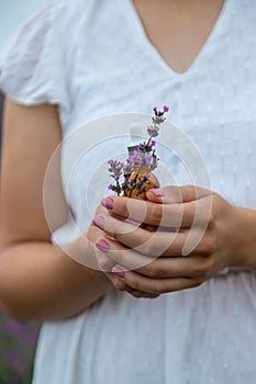 Woman holding bottle with natural essential oil in lavender field. Selective focus