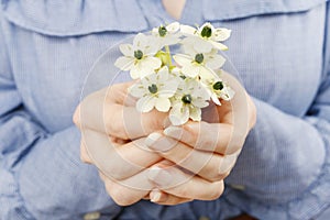 Woman holding bouquet of tiny white flowers (ornithogalum arabic