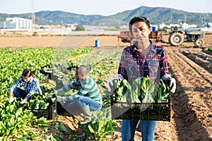 Woman holding box with picked swiss chard