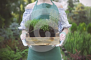 Woman holding a box with plants in her hands in garden center