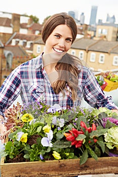 Woman Holding Box Of Plants On Rooftop Garden