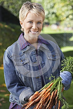 Woman Holding Bunch Of Muddy Carrots photo