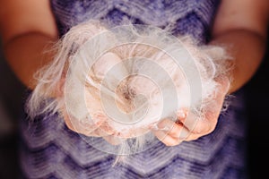 Woman holding a bunch of white cat fur after combing a Ragdoll cat with yellow brush/comb