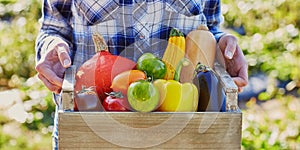 Woman holding crate with vegetables on farm