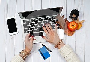 Woman holding credit card and using laptop computer. Online Shopping Concept