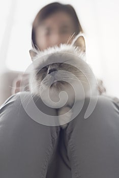 Woman holding a cute cat on her lap