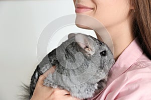 Woman holding cute chinchilla in room, closeup