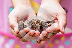 Woman holding a dead bird