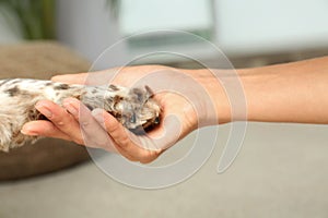 Woman holding dog`s paw indoors