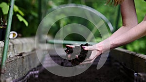 Woman  holding fertile soil in her hands