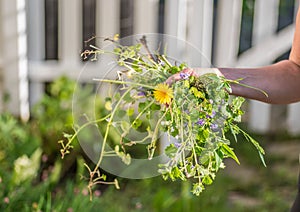 Woman holding a fist full of weeds