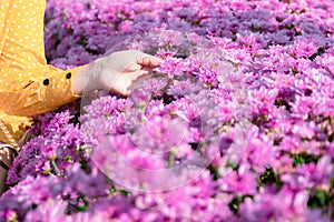 A woman holding a flower in flower garden