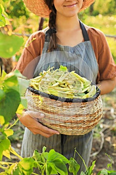 Woman holding fresh green beans in wicker basket outdoors on sunny day, closeup