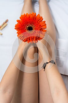 Woman holding a gerbera flower in bed