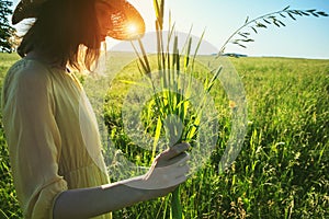 Woman holding grass herb bouquet in summer field