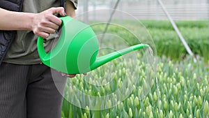 Woman holding green watering can and water the flowers