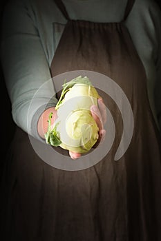 Woman holding in hand freshly harvested kohlrabi, closeup.