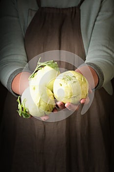 Woman holding in hand freshly harvested kohlrabi, closeup.