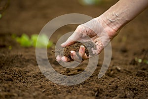 Woman holding a handful of rich fertile soil