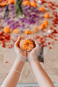 Woman holding in hands marigold flower.